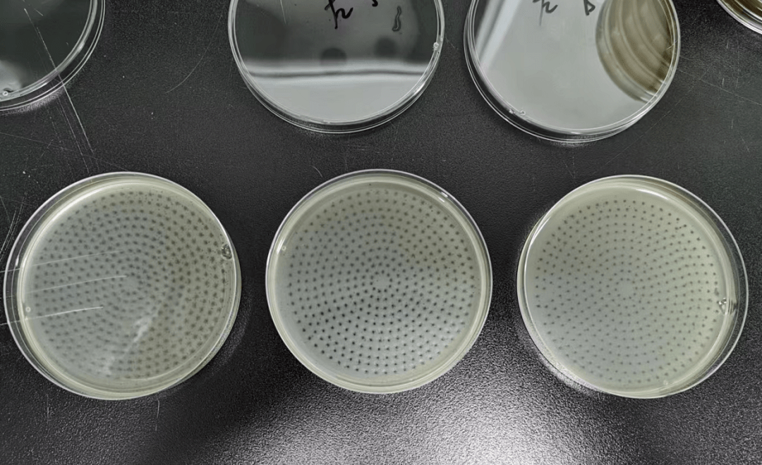 开窗通风和空气净化器,哪个才是病毒气溶胶的克星_试验_去除率_功能