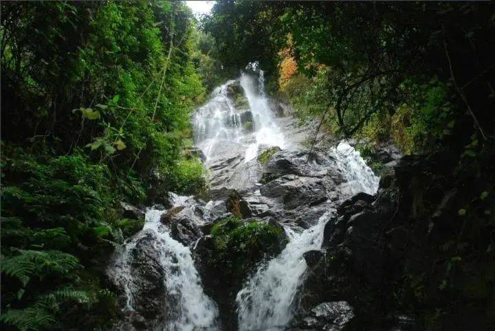 永德忙海景區忙海湖景區位於永德縣德黨鎮明朗村境內,距離縣城45公里