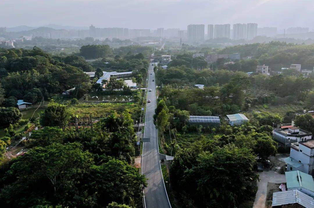 在建设东江画廊乡村振兴示范带的过程中,博罗县罗阳街道大力推进路