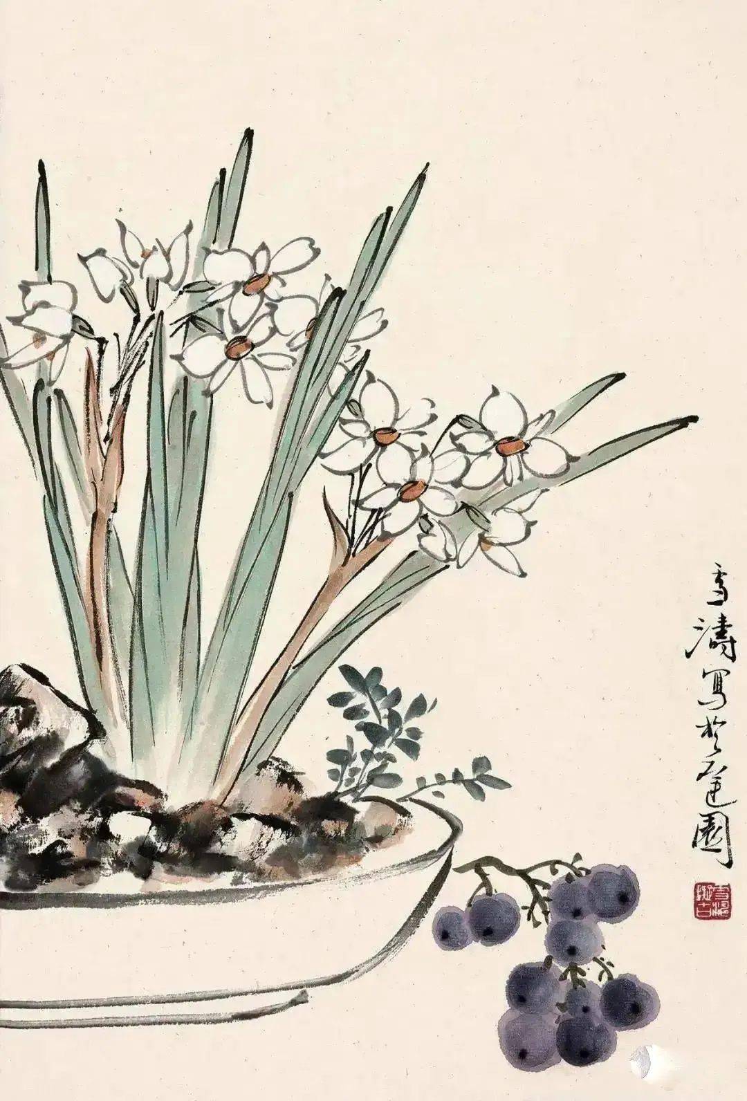 王雪涛笔下的水仙，清新雅逸_搜狐网