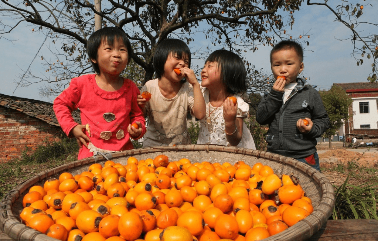 秋冬季节给孩子吃柿子,家长牢记5个不要,让娃吃得更健康