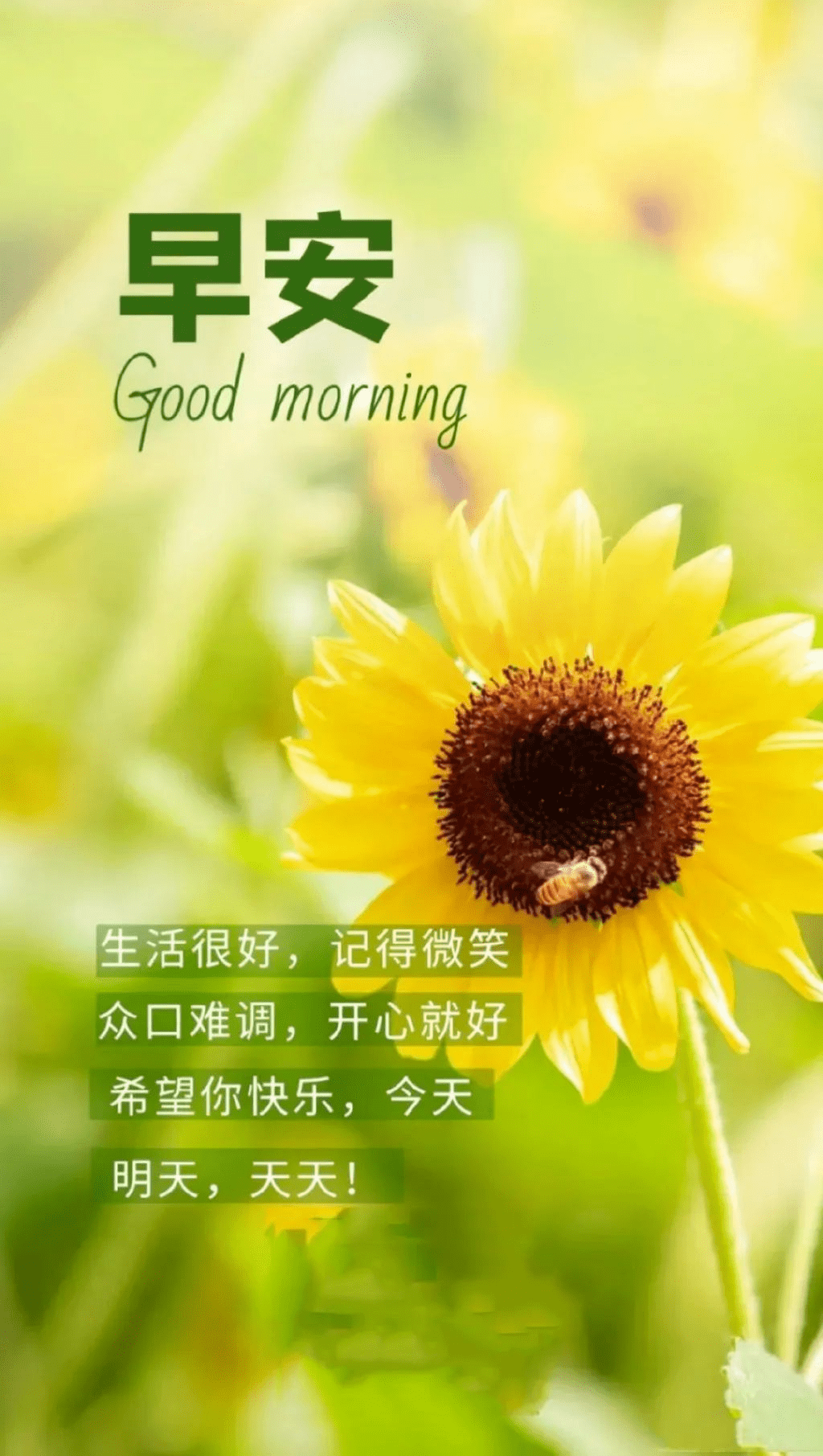 一句话早安心语正能量唯美语录句子_憧憬_意义_开心