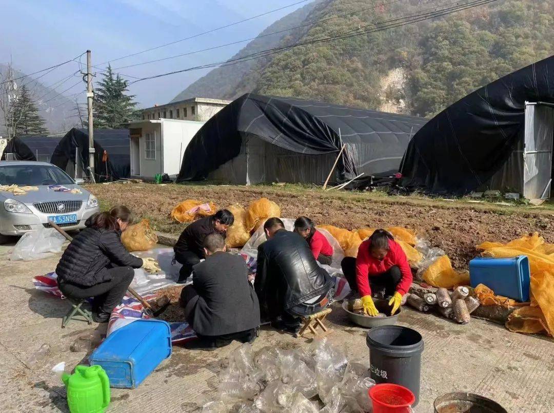 石砭峪新村图片