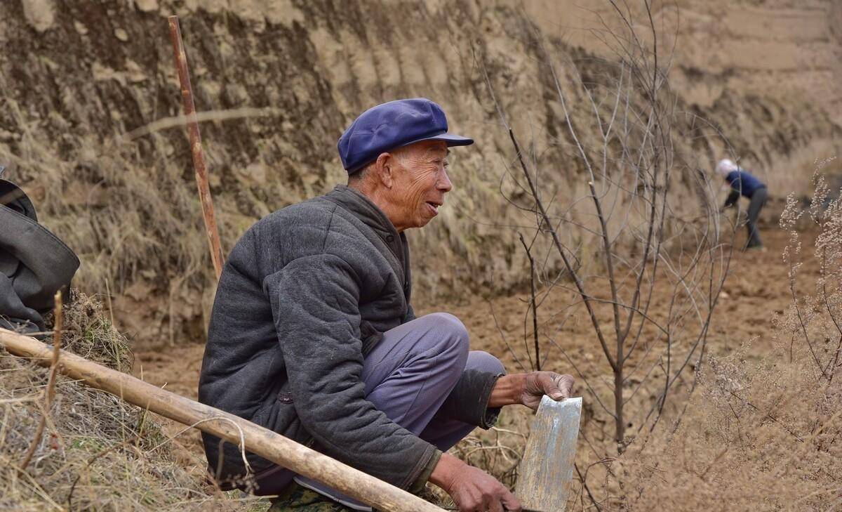 老农民说:现在吃的米粮,不是小时候的味道了,都是化肥闹得_农村_鸭梨