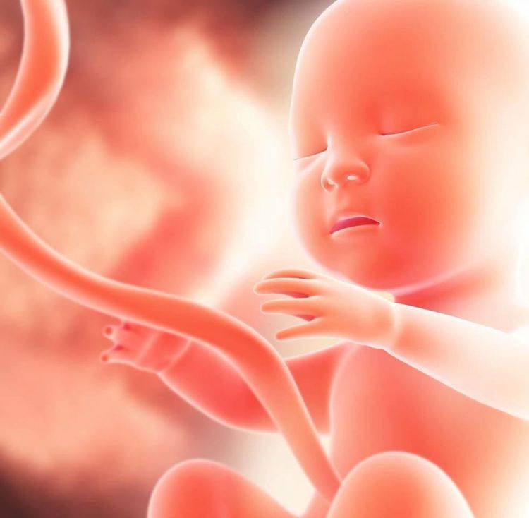 怀孕6个月突然得知＂胎停＂,只因孕期这几方面不注意