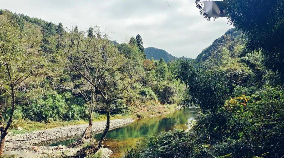 行洲山路行_朱砂冲_哨口_井冈山