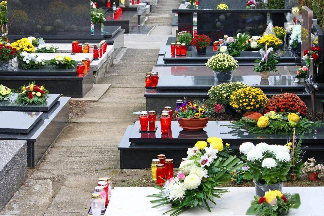 江葬,树葬,花葬等"生态葬"越来越引起市民的关注,很多厦门人也愿意