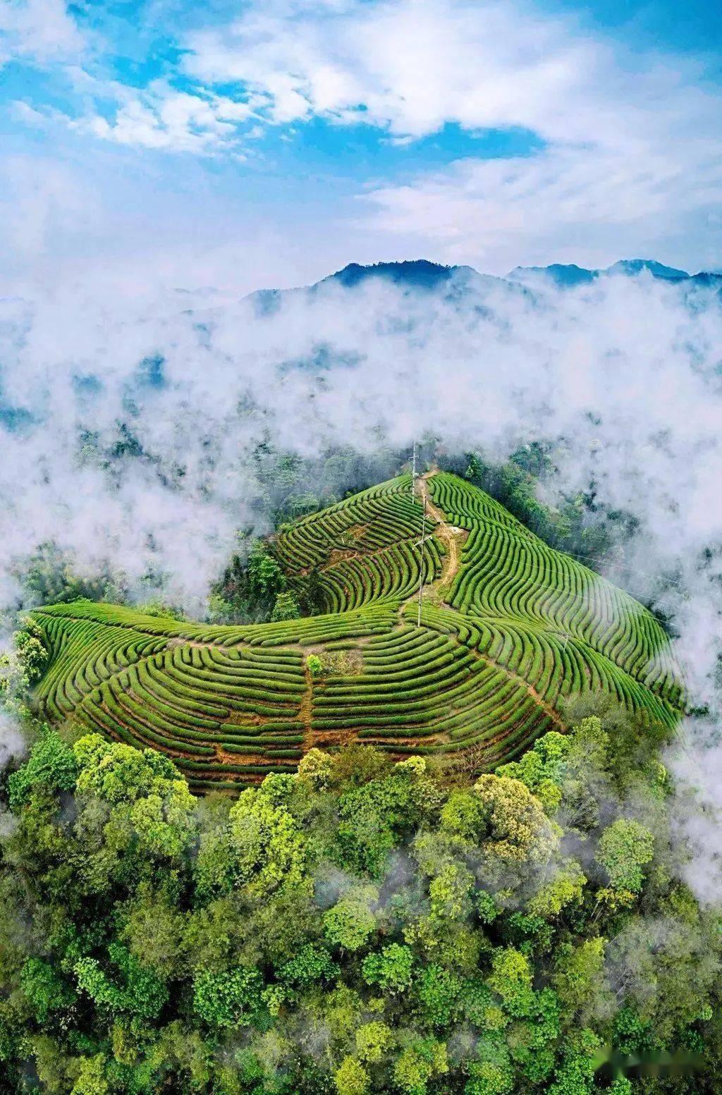 三明占了4个!_旅游_全国_康养