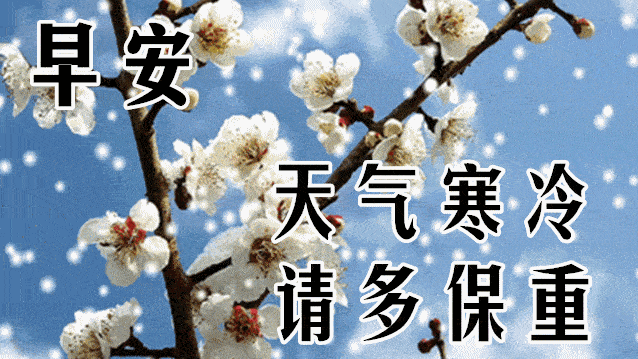 4,小雪时节至,雪花满天飘,思念洒梦里,情意依旧随,岁月如流水,问候有