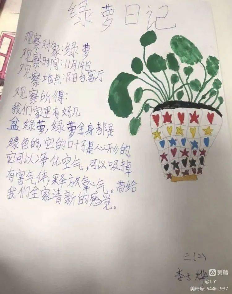 三年级制作植物记录卡绿萝(小学三年级植物记录卡 绿萝)