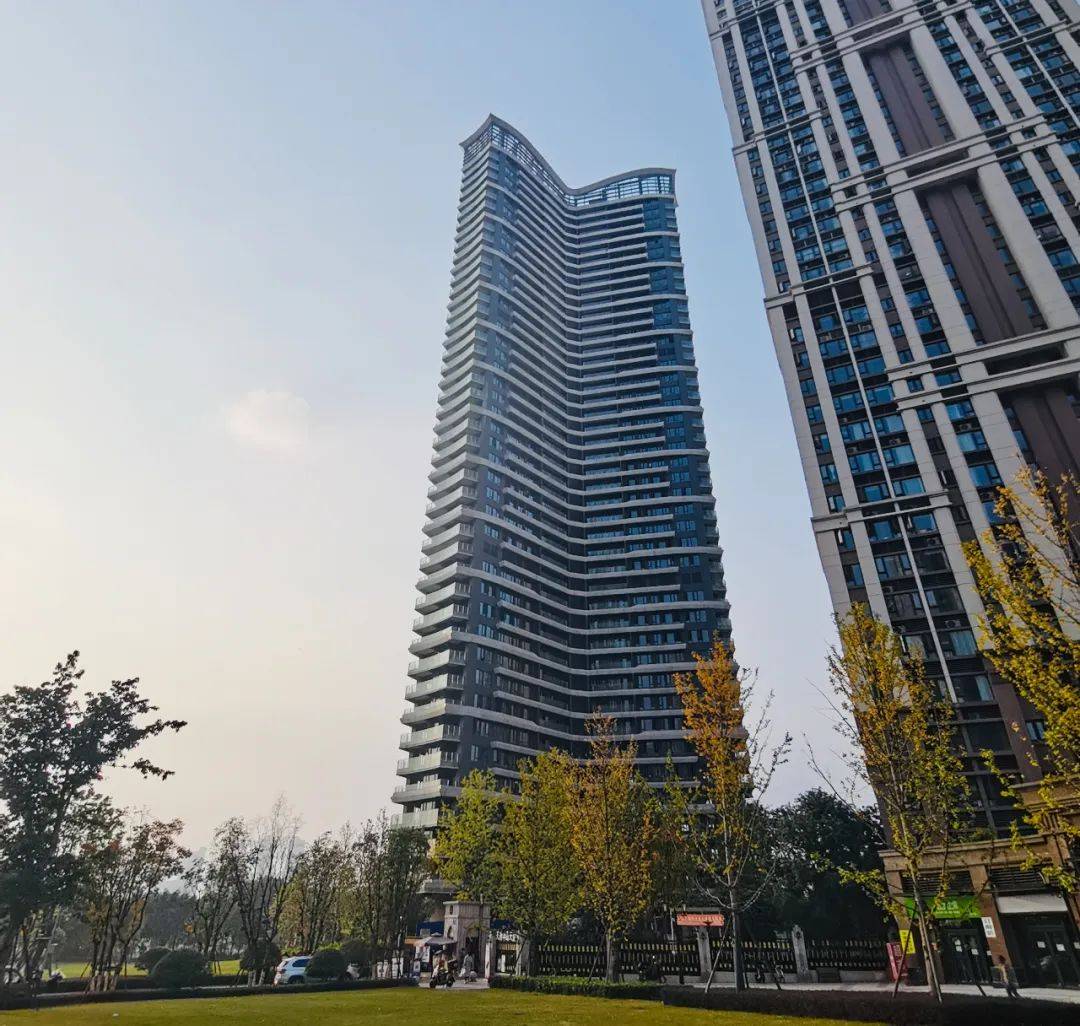有7个阳台的江景大平层要来了,这4株「三叶草」值得种草吗?_天府_户型_项目