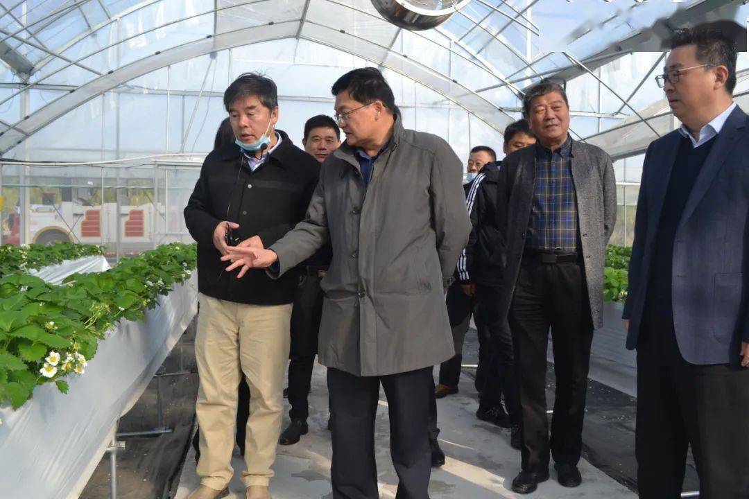 蒋爱祥调研农业产业发展工作评议意见书落实情况_企业_高邮市_部门