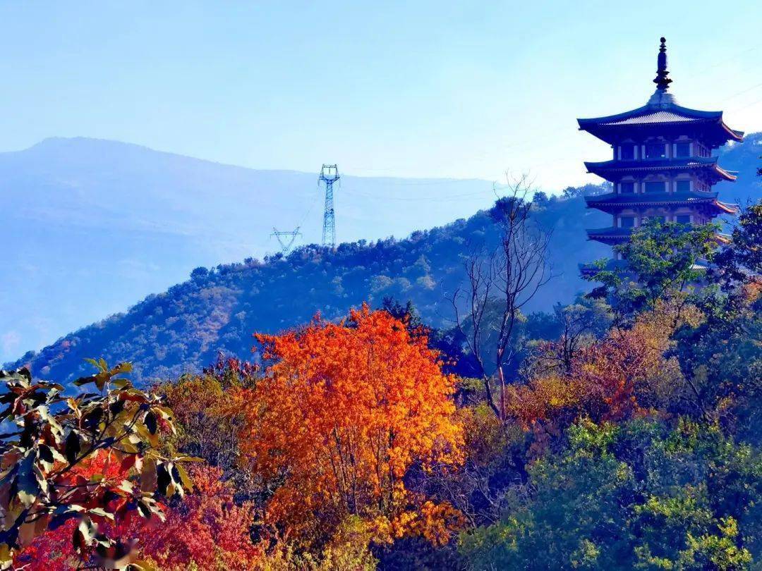 11月24日,從機場路口沿著登山步道拾級而上,進入東華山,清涼的