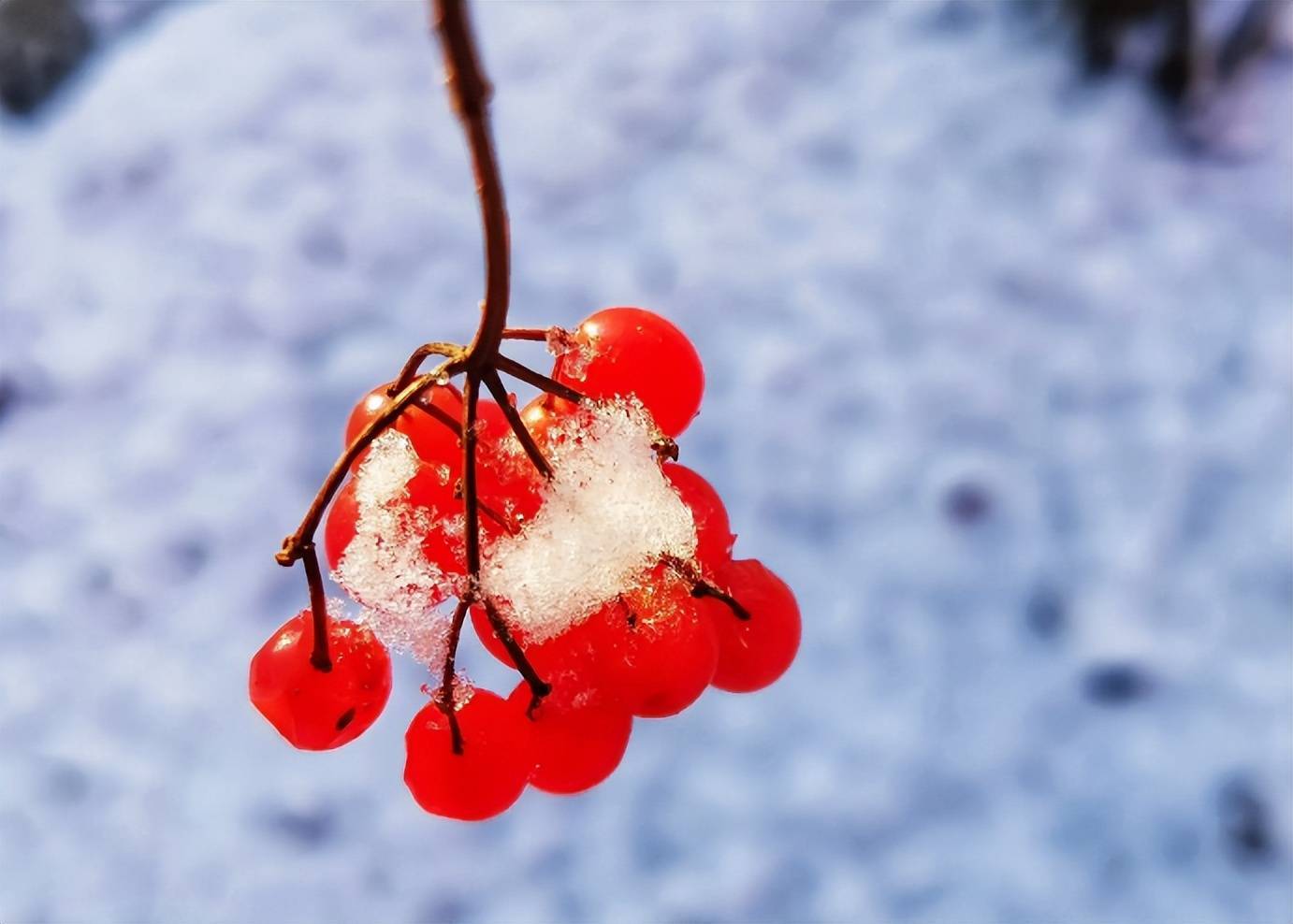 【诗词鉴赏】初雪来了,那些描写初雪的古诗词,开启了唯美的冬天!
