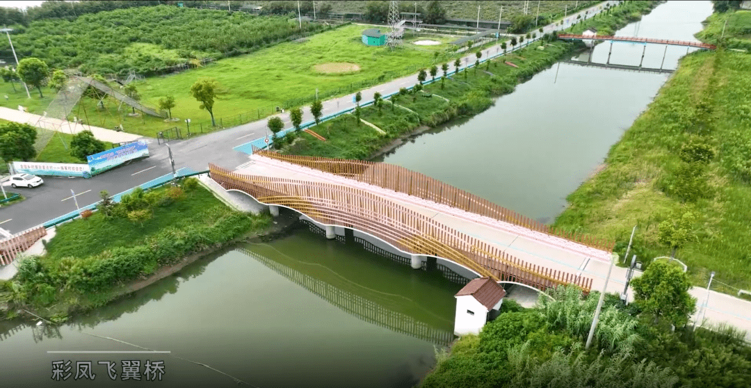 高颜值,泰州的这些景观绿道,亦是郊游打卡点_美乡村_大道_路桥