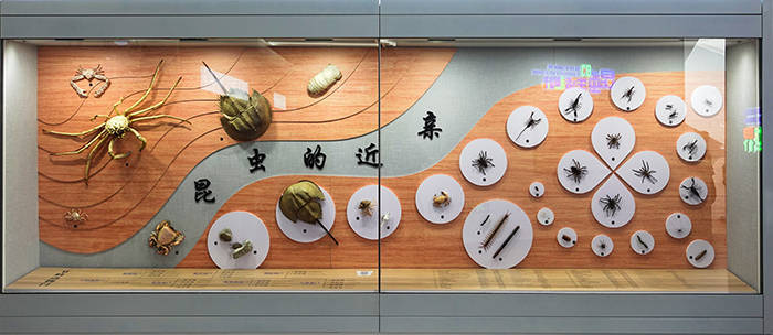 昆虫博物馆宁波图片