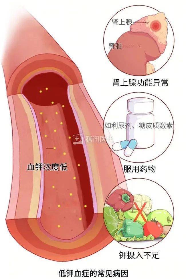 钾元素对人体图片