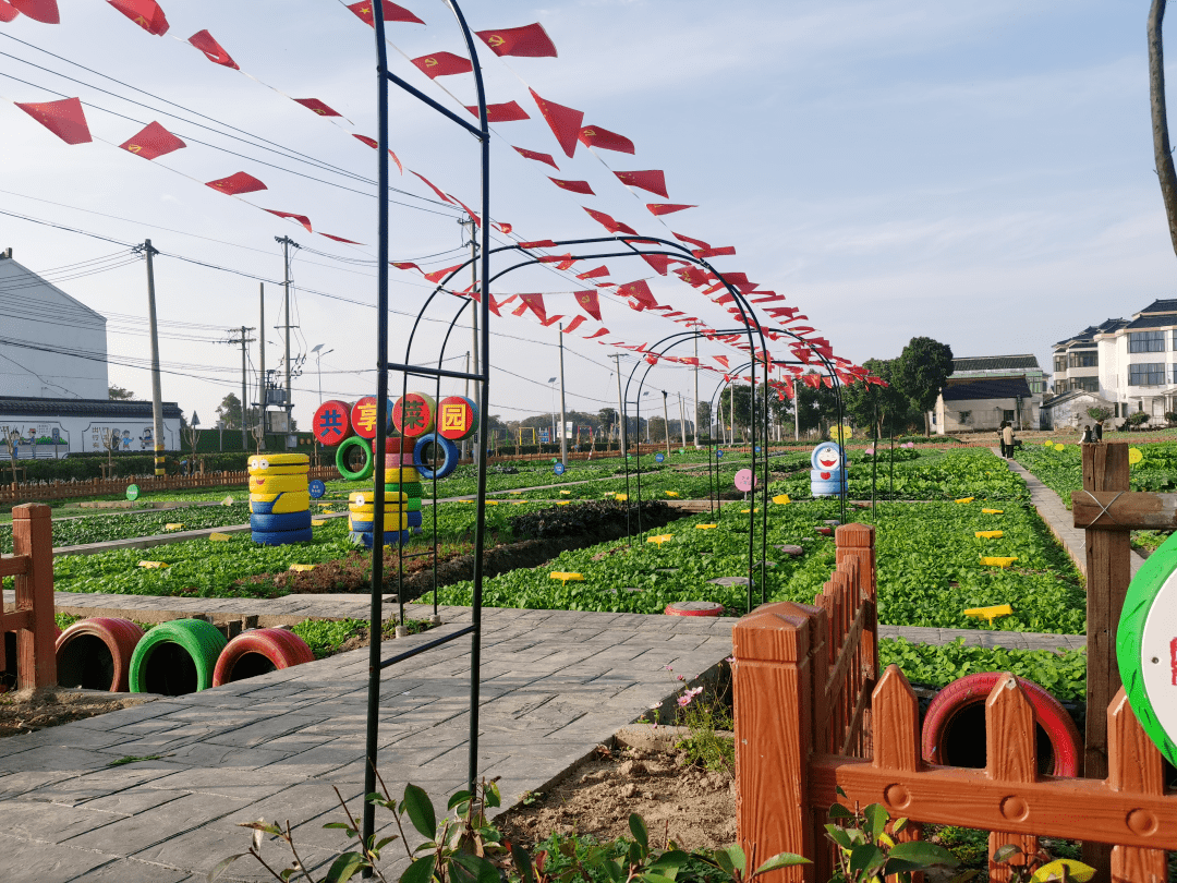 2022年"美丽菜园"评选,邀您为七都镇东风村投上一票!