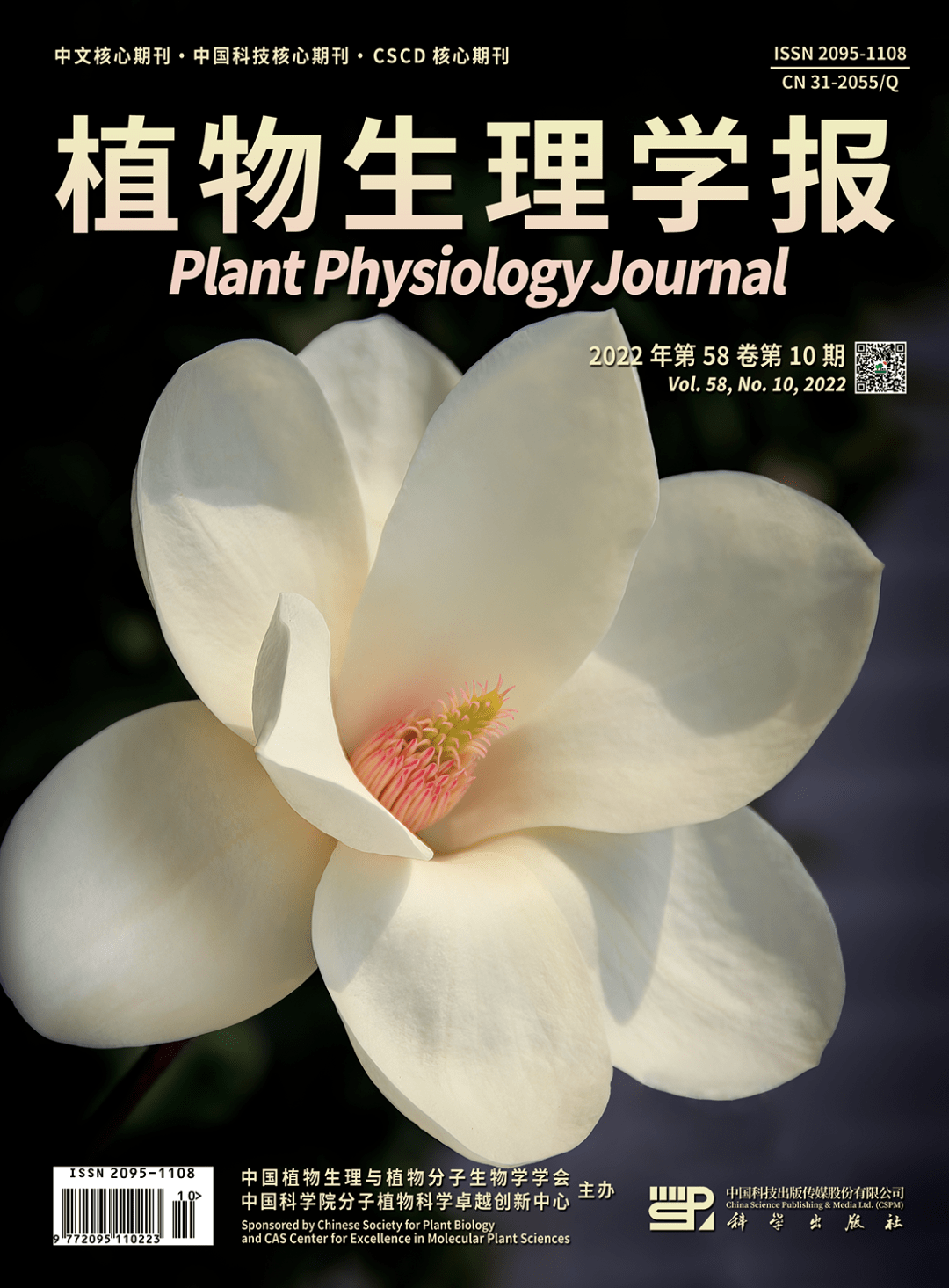 国際ブランド 植物生理学〈下巻〉 (1951年) 2010年第04期- その他