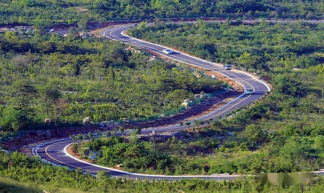 枣庄市中区丨邂逅环城森林绿道初冬静谧美景_爱好者_来源_首选