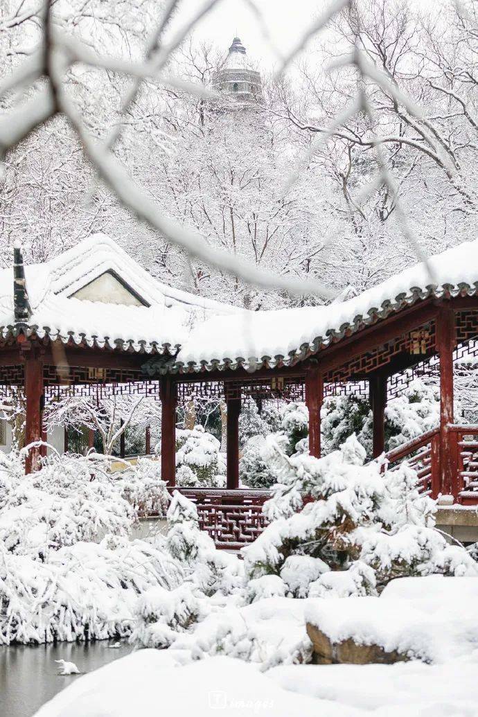 苏州大阳山雪景图片