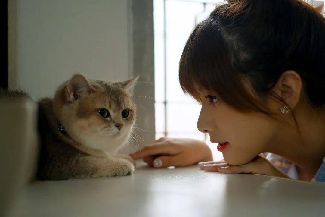 "折耳"亦"折心"_猫狗_折磨_主人