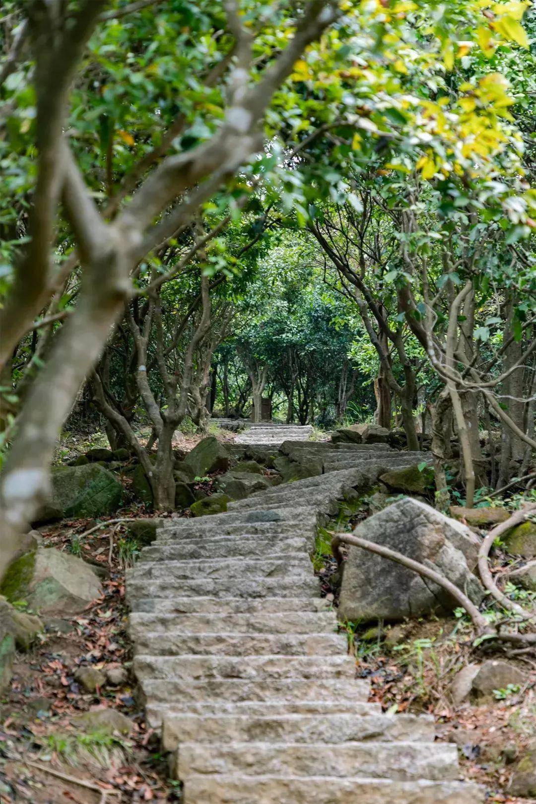 坐6号线支线,去赏花吧_荔枝公园_中心_设施