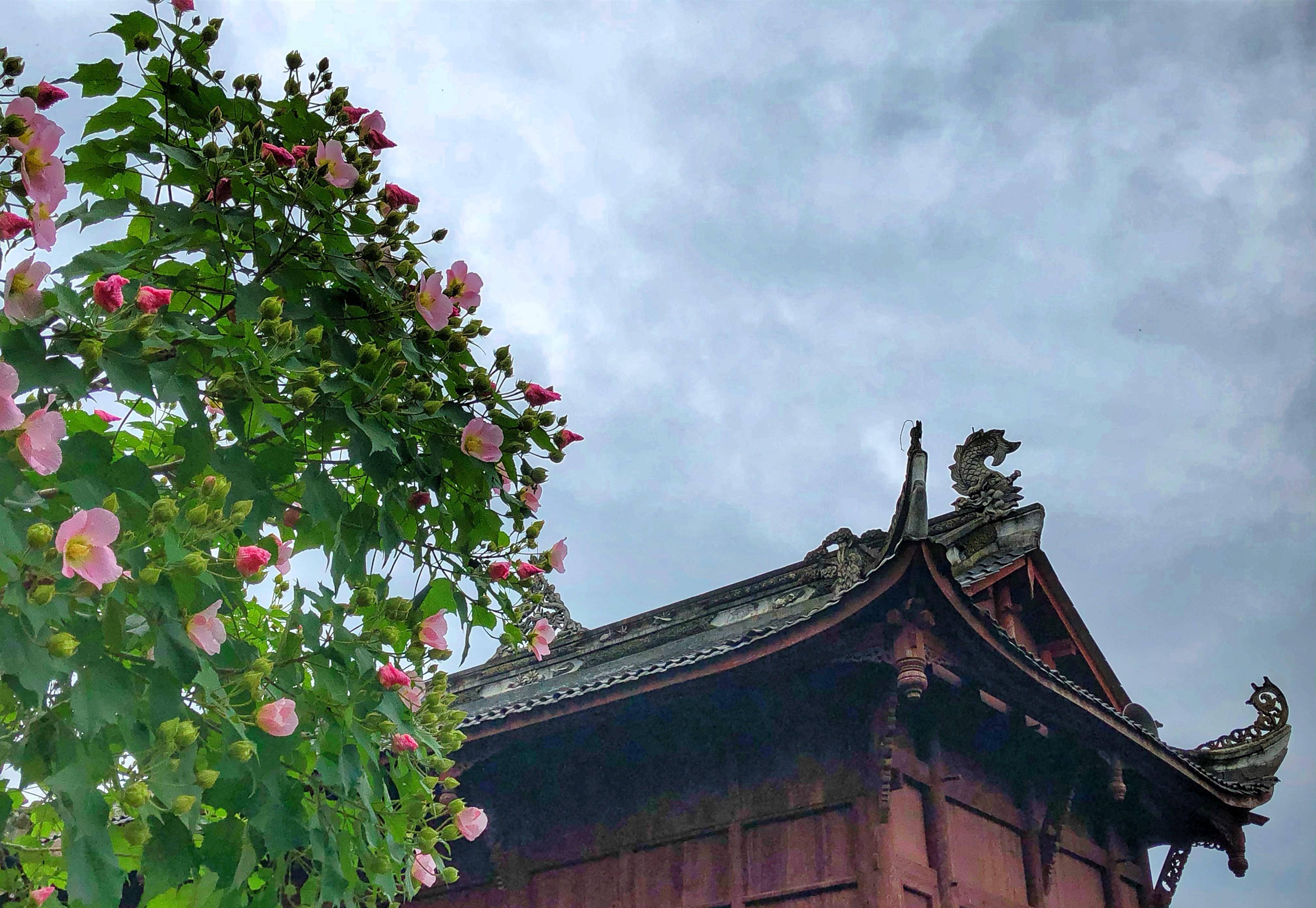 一座汉白玉石碑与建筑背对背而立,上面刻有忠诚宫道观五个大字,此碑由