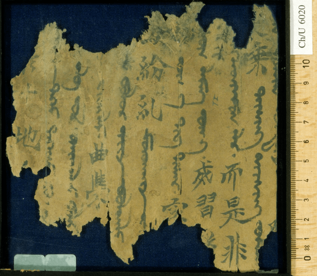 回鹘文文献: 体现各民族源远流长的亲密关系|三交史话_佛教_汉文_影响