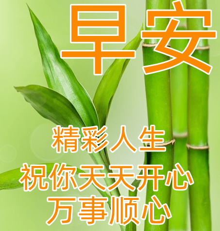 12月1日冬日早上好动态表情图片大全,早晨好动图美图大全_朋友_因为
