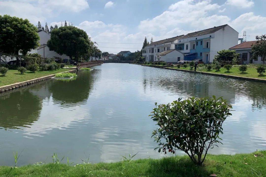 2022年长泾镇美丽示范河湖进行时_整治_工作领导小组_对比