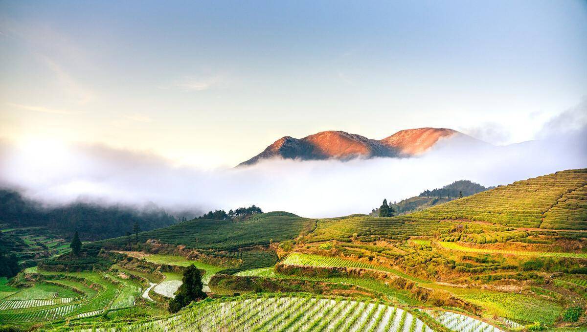 缙云大洋山,在浙江省丽水市缙云县东南,是括苍山脉中段的山名,山体雄