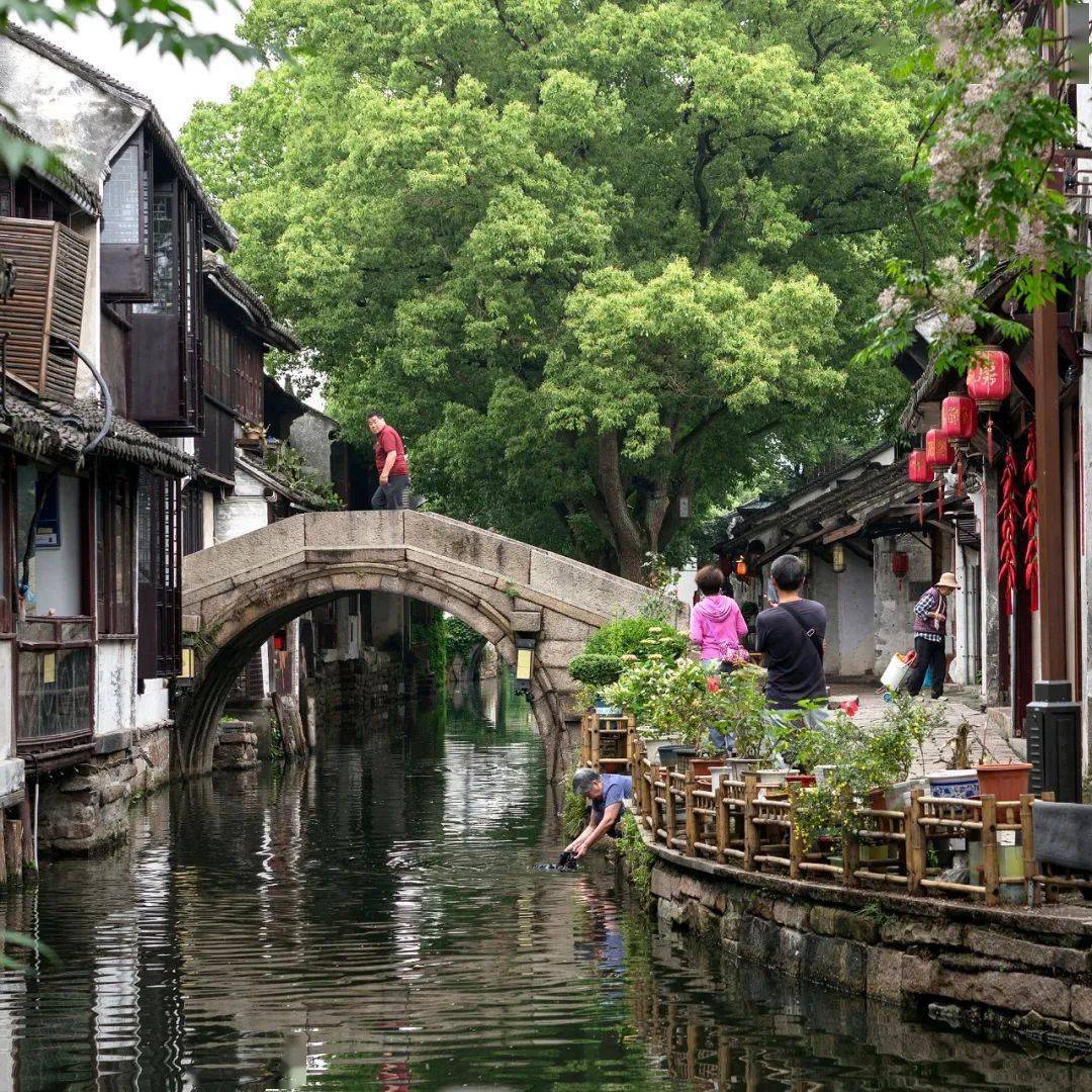 会员佳作 | 韦鸣:穿越时空的对话——周庄_摄影_作品_昆山