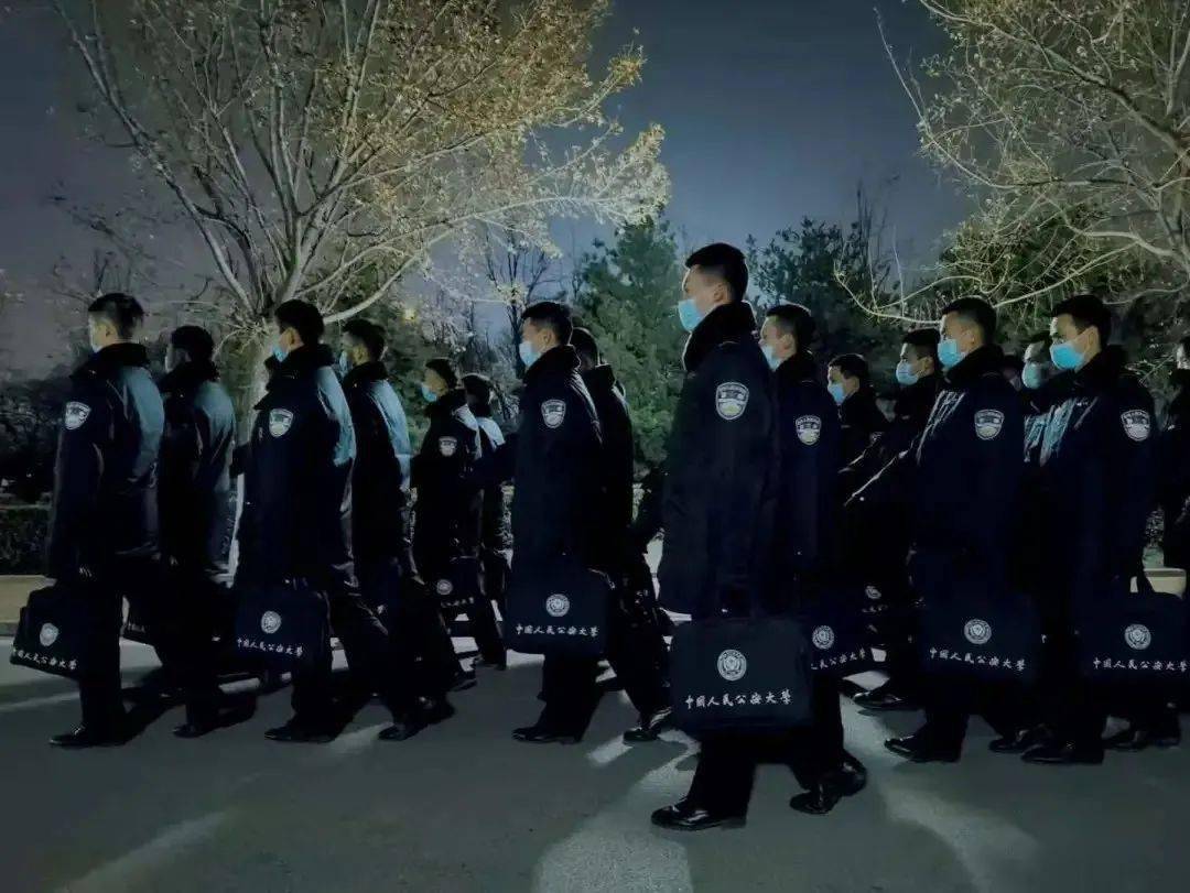 警服冬常服领花佩戴图片