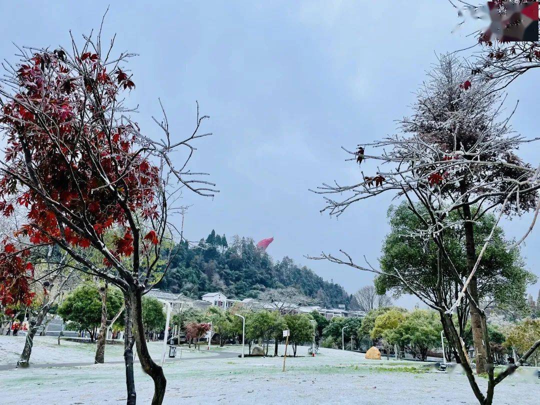 美图来袭 | 快来围观黄洋界今冬初雪_雾凇_雪景_冰晶