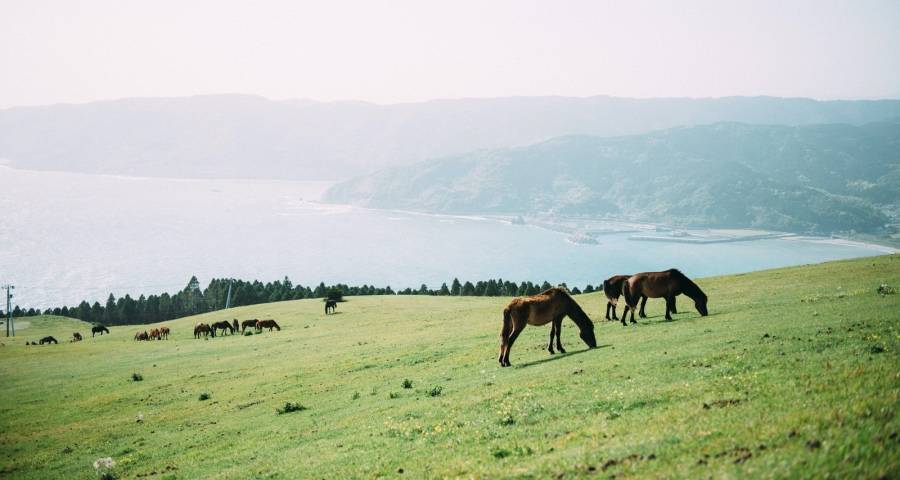 冰箱业2023年隐痛：保鲜难破天花板，嵌入橱柜门槛高-家电圈官网