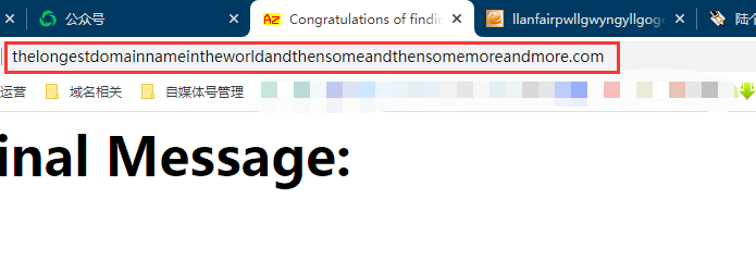 【奇怪的域名】那些长度达到极限的域名，意义在哪里？