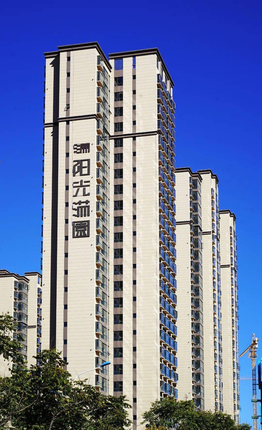 工程进度丨大理阳光满园11月工程进度播报_检测_施工_楼栋