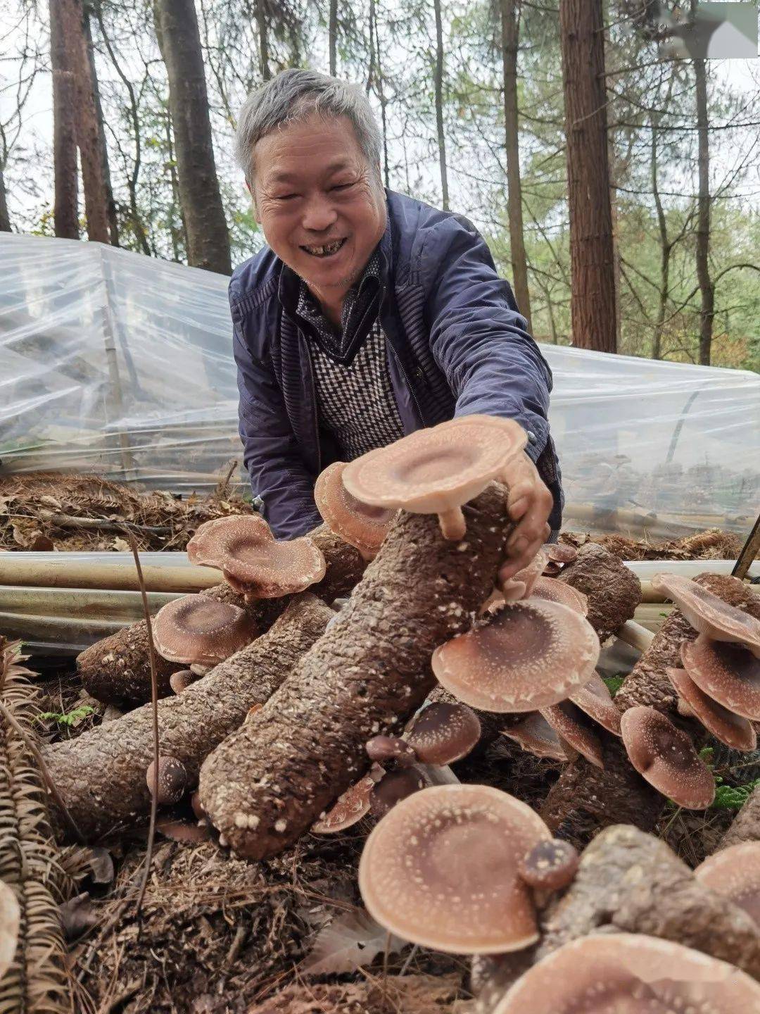 白云村村民马万林笑着说道绿水青山就是金山银山的好日子"我们也过