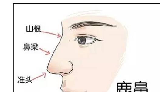 为人_事业_性格