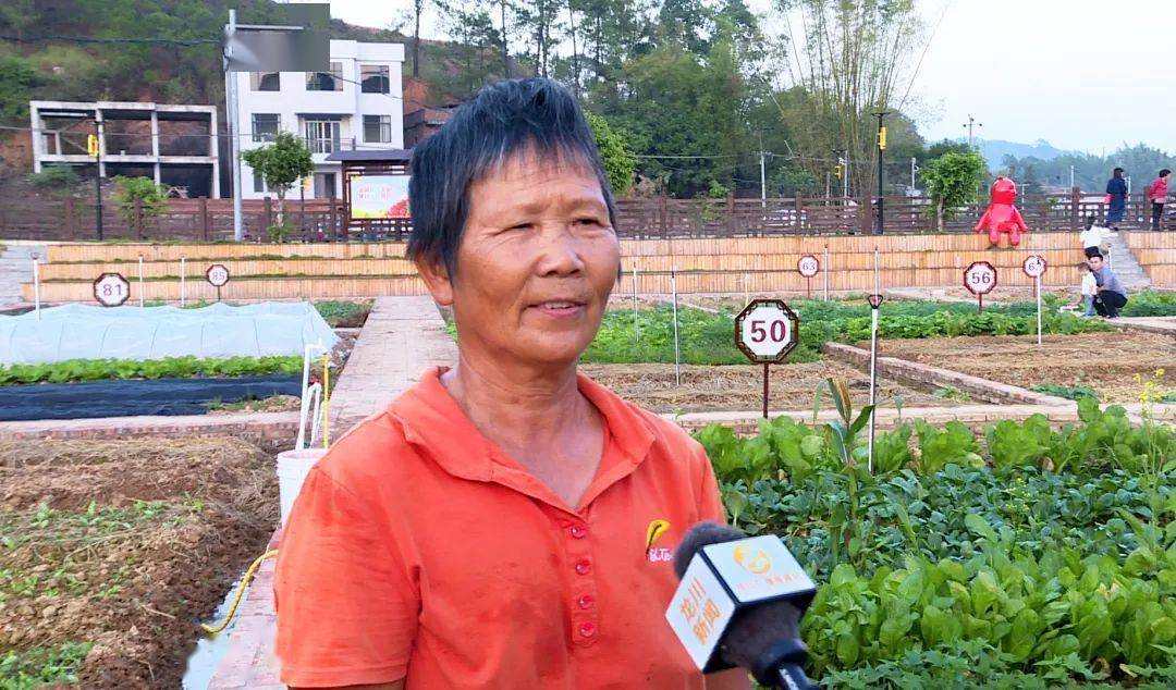 龙川县板塘村撂荒地变共享菜园!