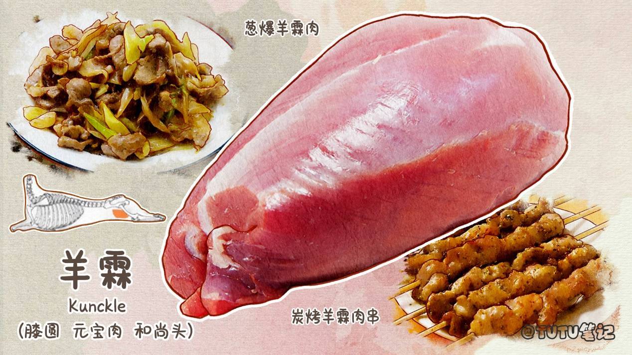 一篇文章让你成为懂羊人！超全的羊肉分类 带你认识不同部位的羊肉和吃法_Lamb_肉质_美味