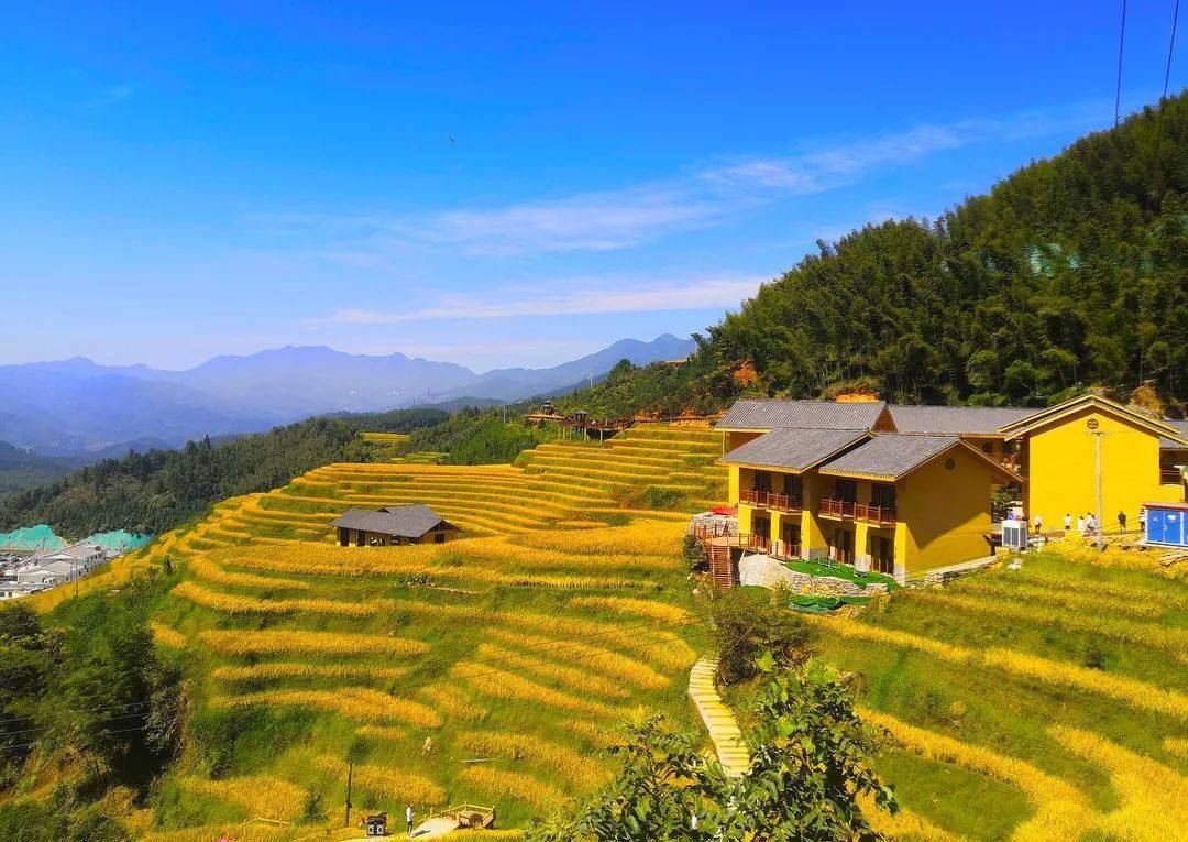 萍鄉兩地入選全國鄉村旅遊重點村,重點鎮_溪村_產業_江西