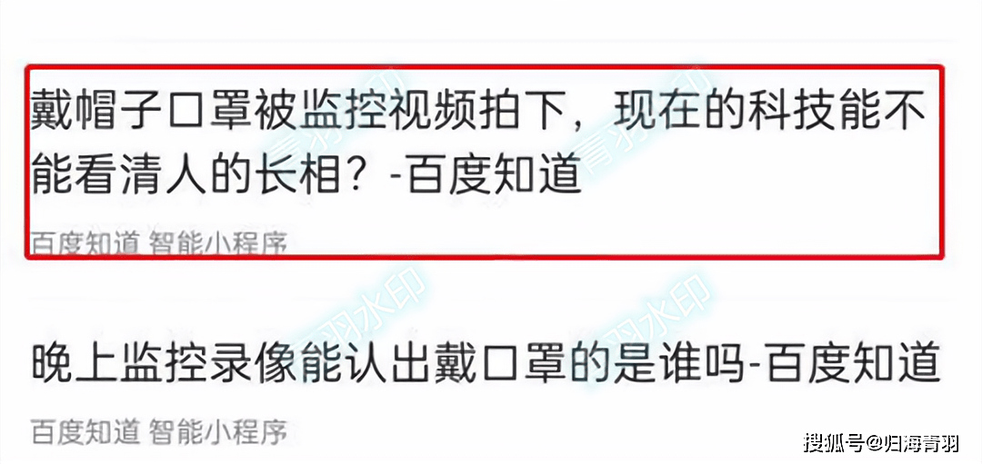 男子行窃后，在网上搜索小偷戴口罩被拍到认得出来吗?？随后即被抓