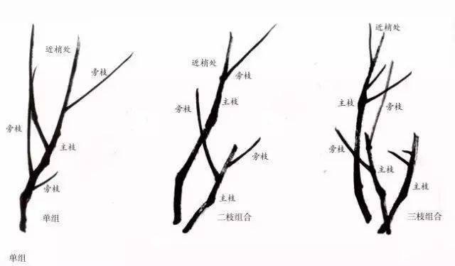 国画教程 写意梅花的各种画法