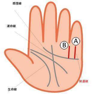 也叫做太陽線,這條線一般和事業線平行存在,都是比較長的豎紋,由於