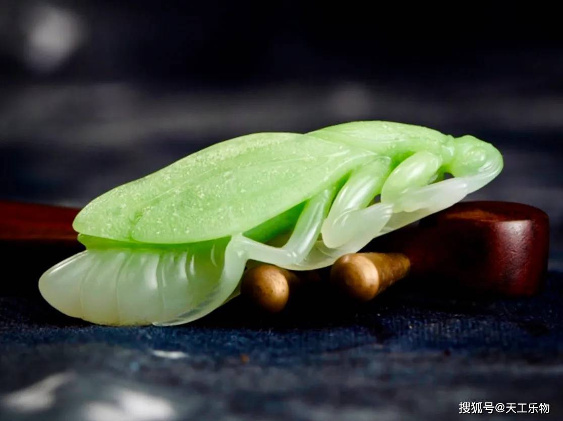 青海_玉色_螳螂