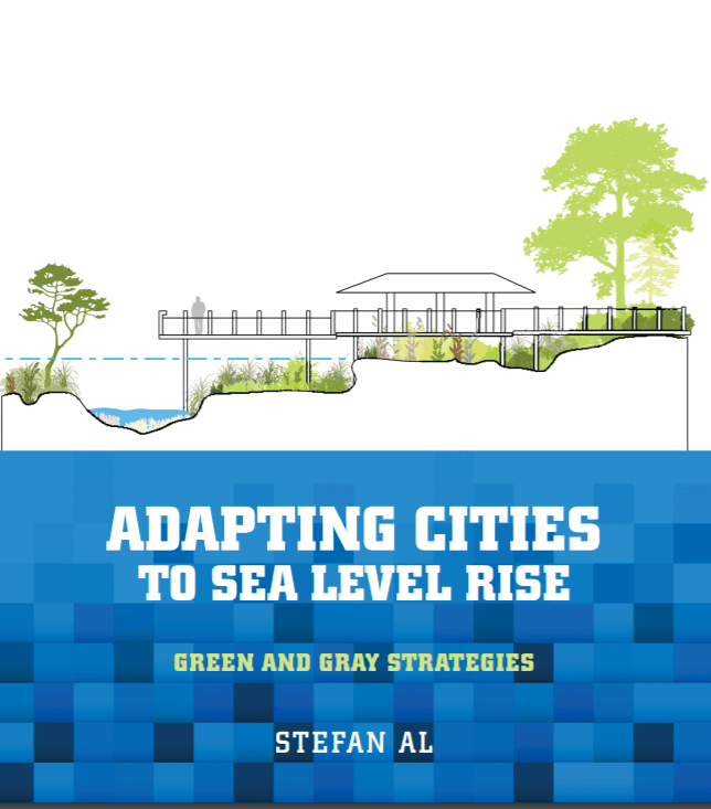 全球城市策略︱应对海平面上升的灰绿交织策略（上）