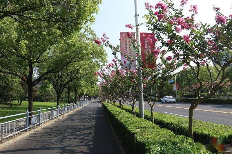 2022年度上海市绿化特色道路评选结果今起公示