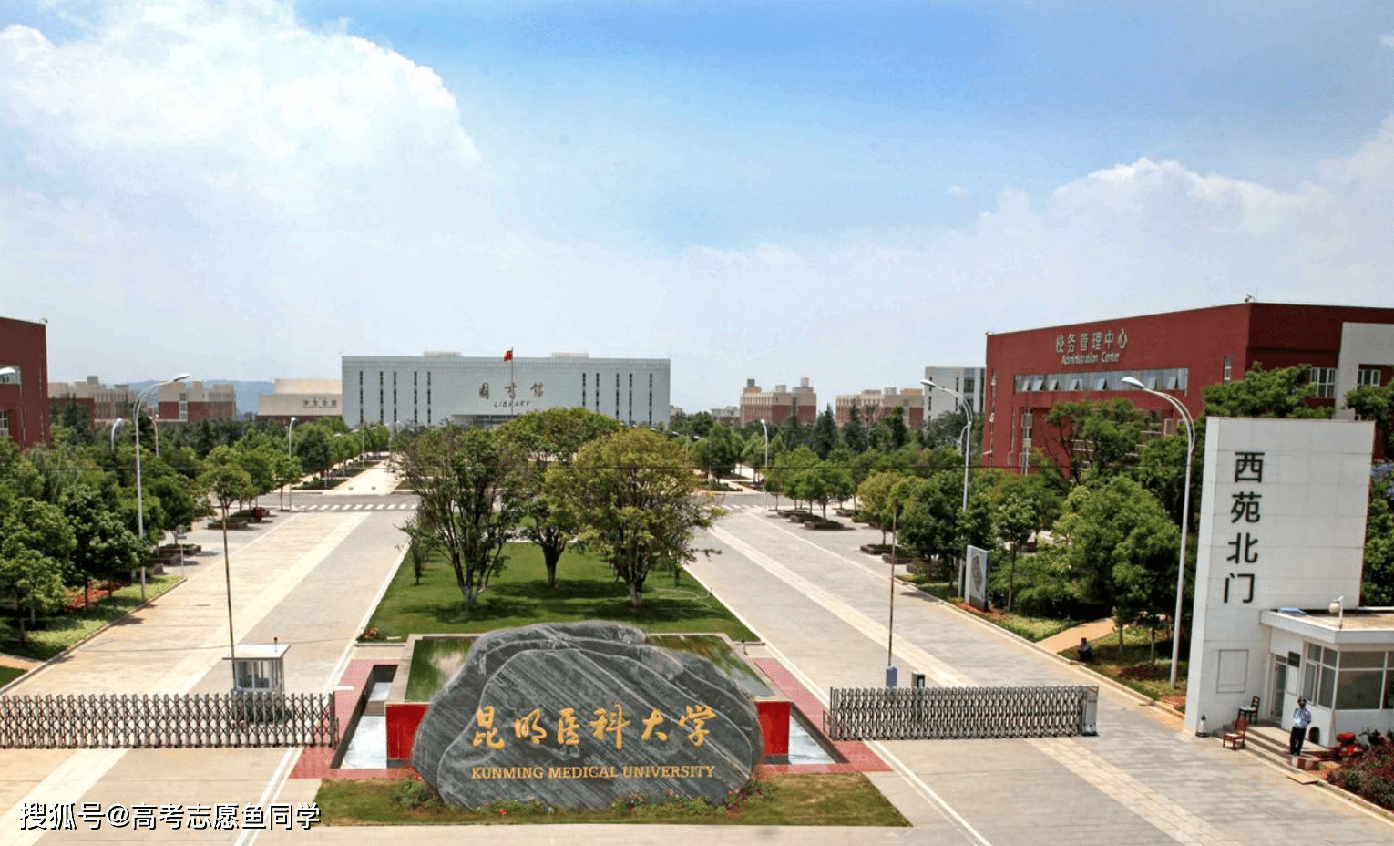 西南地区5所"医科大学"实力强,毕业生省内很吃香,比较好考上_专业